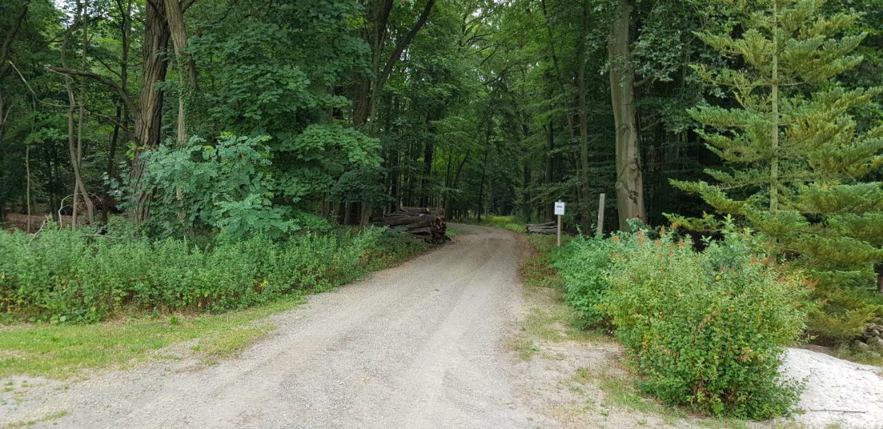Ferienwohnung "Waldfrieden" Altdobern Εξωτερικό φωτογραφία